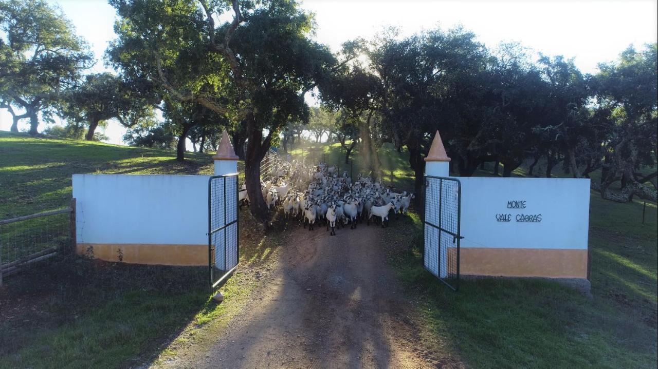 Herdade Vale De Cabras Portel Exterior foto